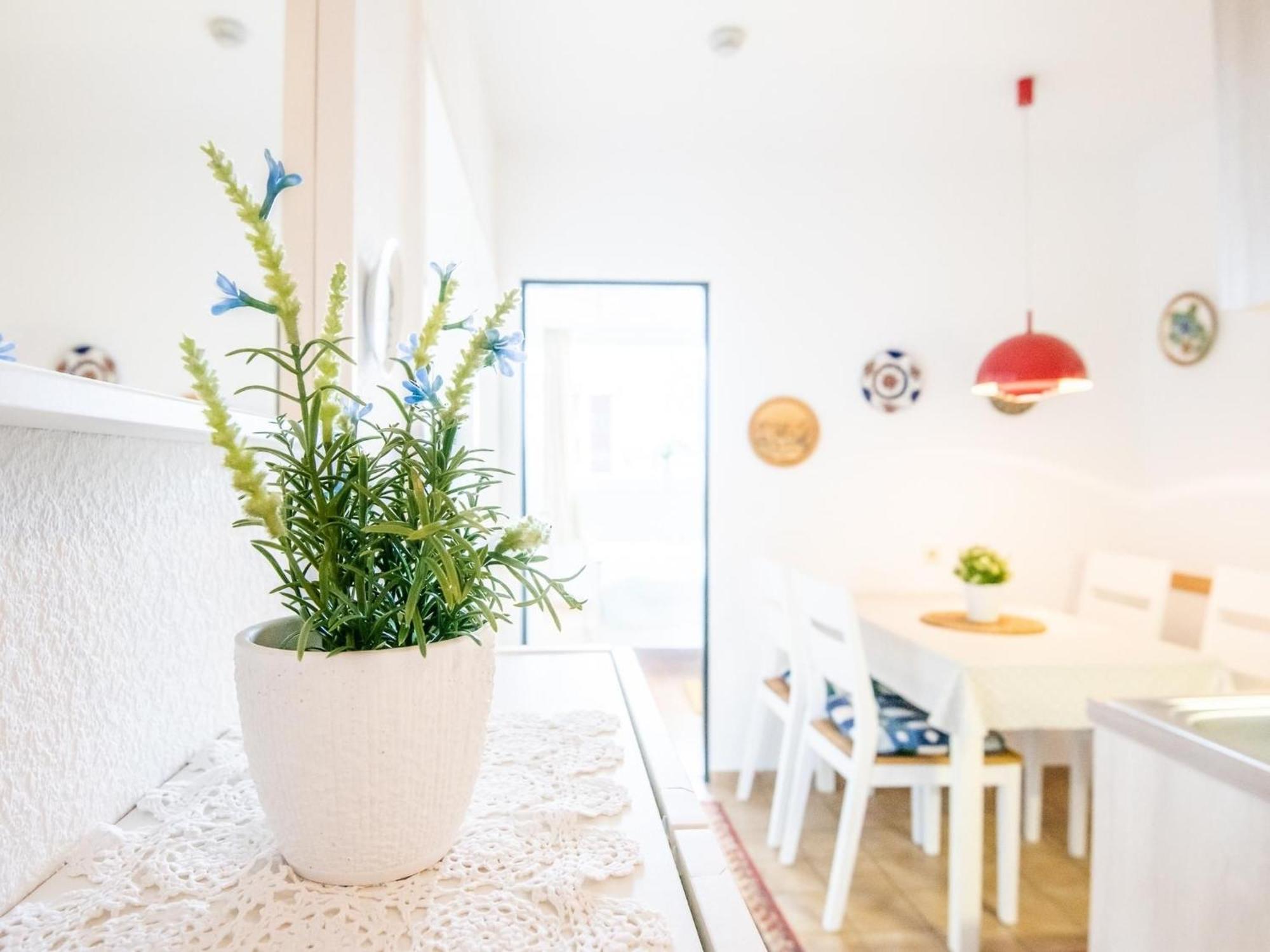 Haus Meeresblick Wohnung 24 เคลเลนฮูเซน ภายนอก รูปภาพ